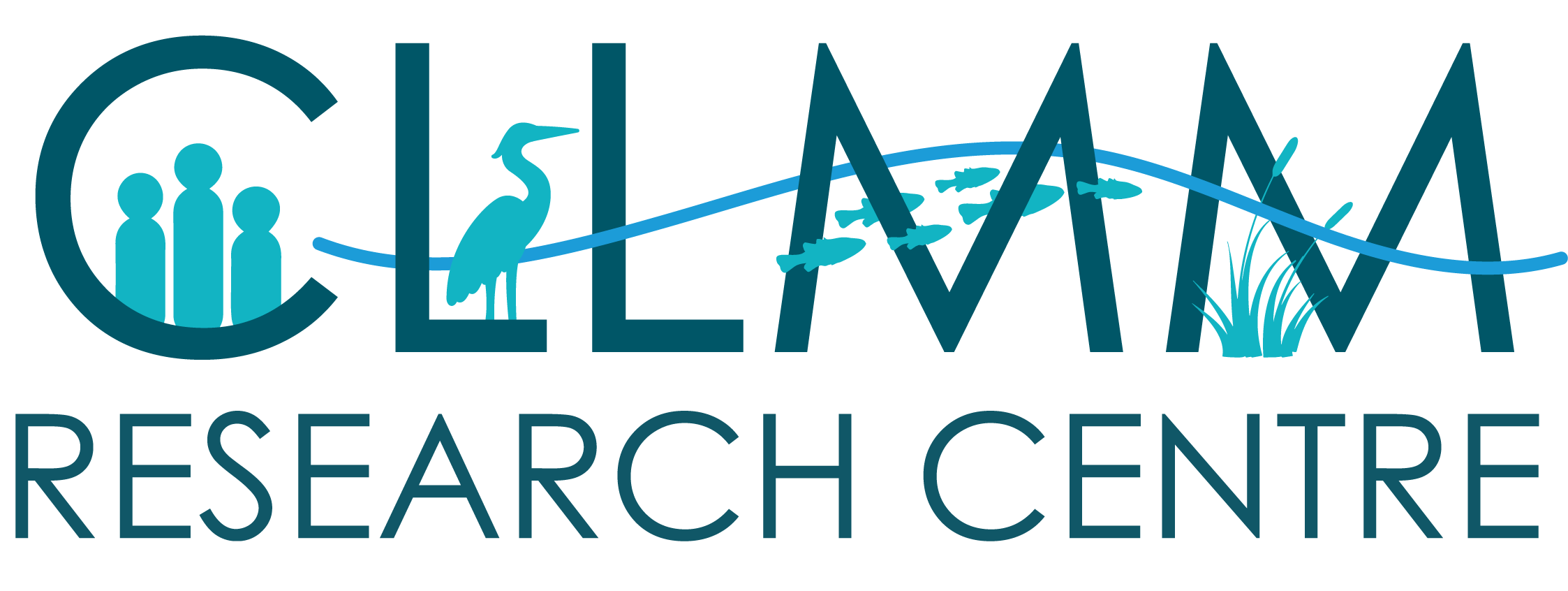 CLLMM Research Centre logo