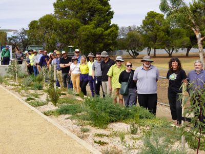 Local government practitioners at Murray Bridges woody meadow trial site